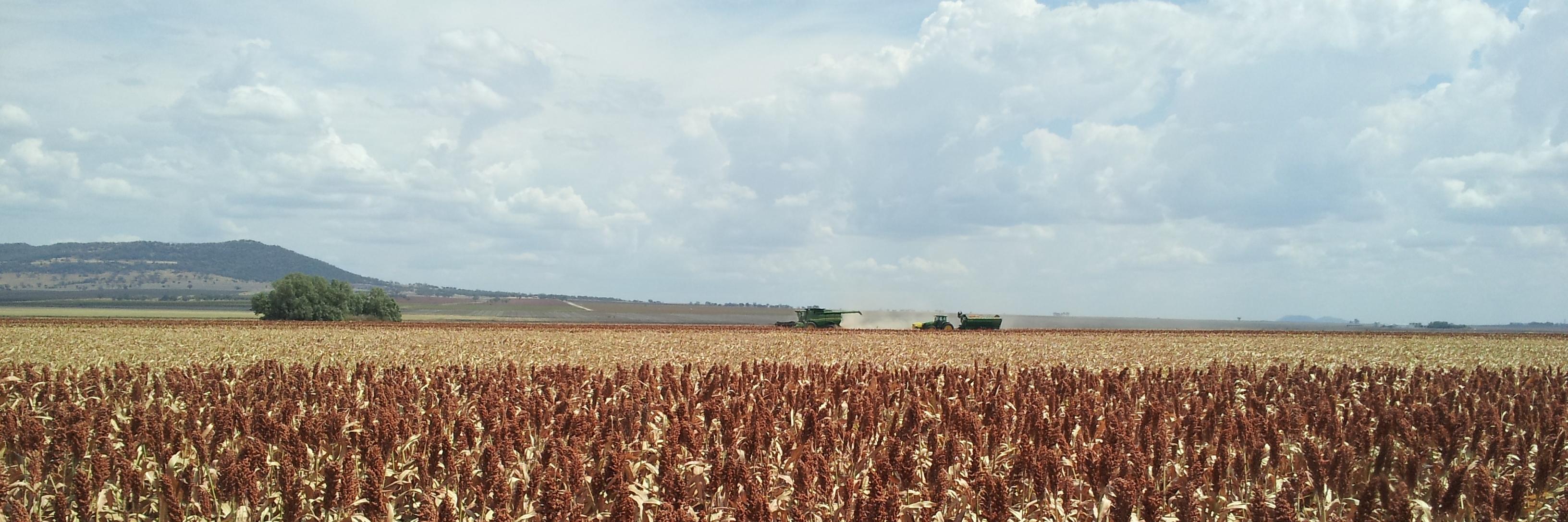 Alan Cruickshank banner
