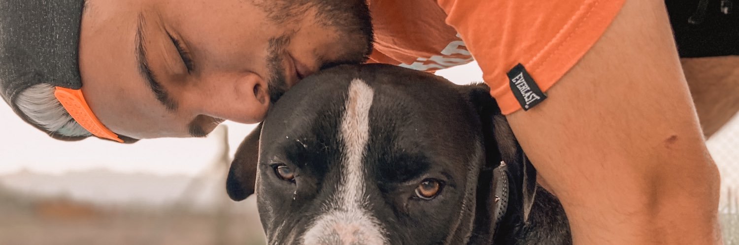 enzopernicce's profile banner image