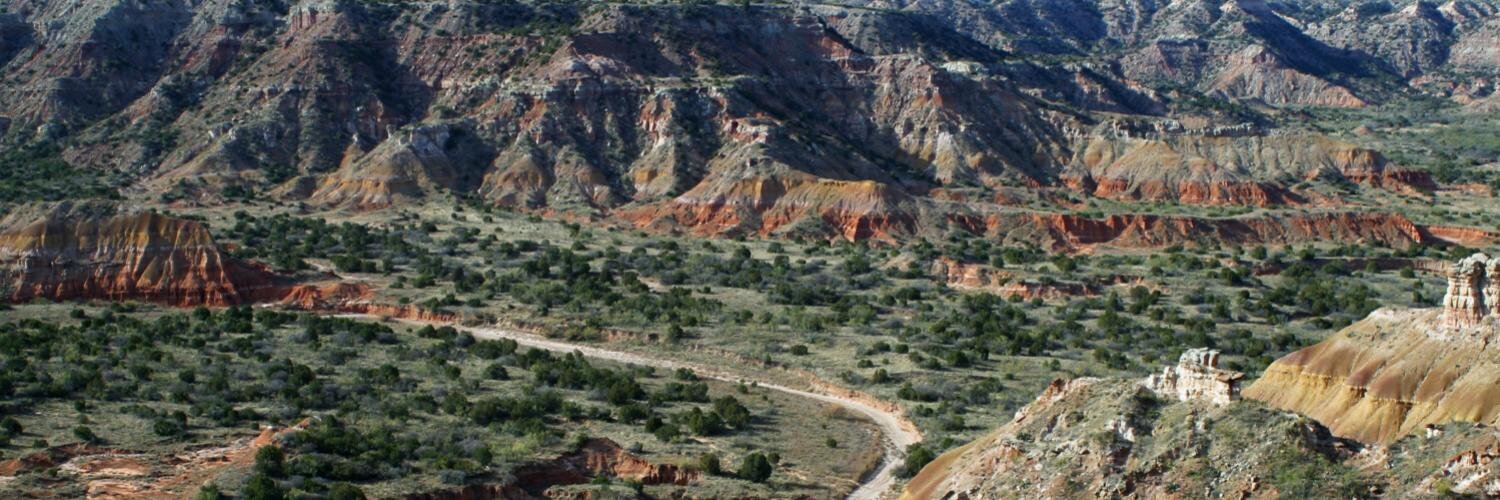 Allen E. Blakemore banner