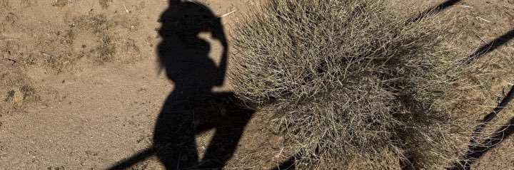 Cultofcami01's profile banner image