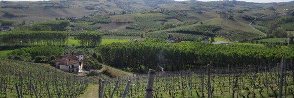 sademaa Profile Banner