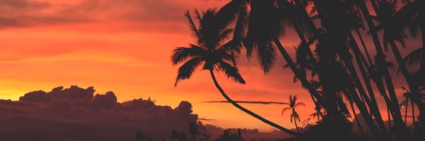 KrankGoa Profile Banner