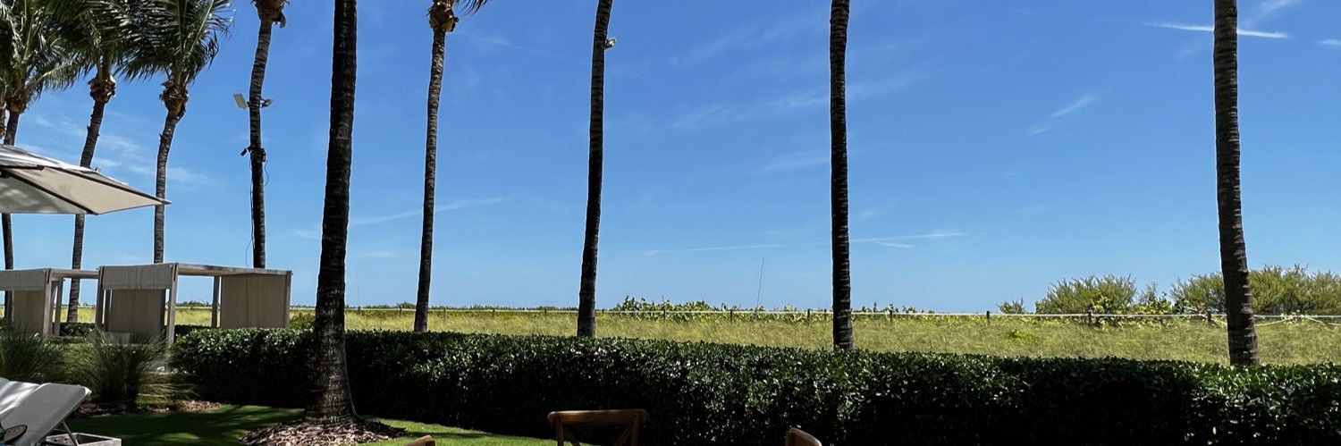 whale intentions. banner