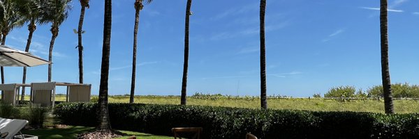 whaleintentions Profile Banner