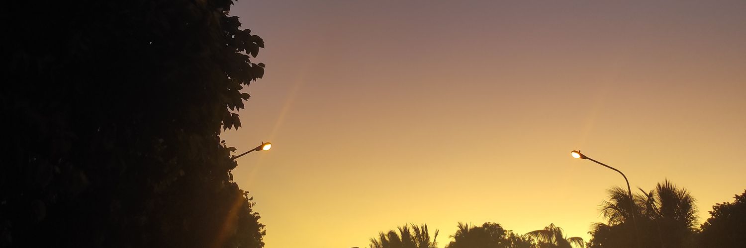 alisteeeer's profile banner image
