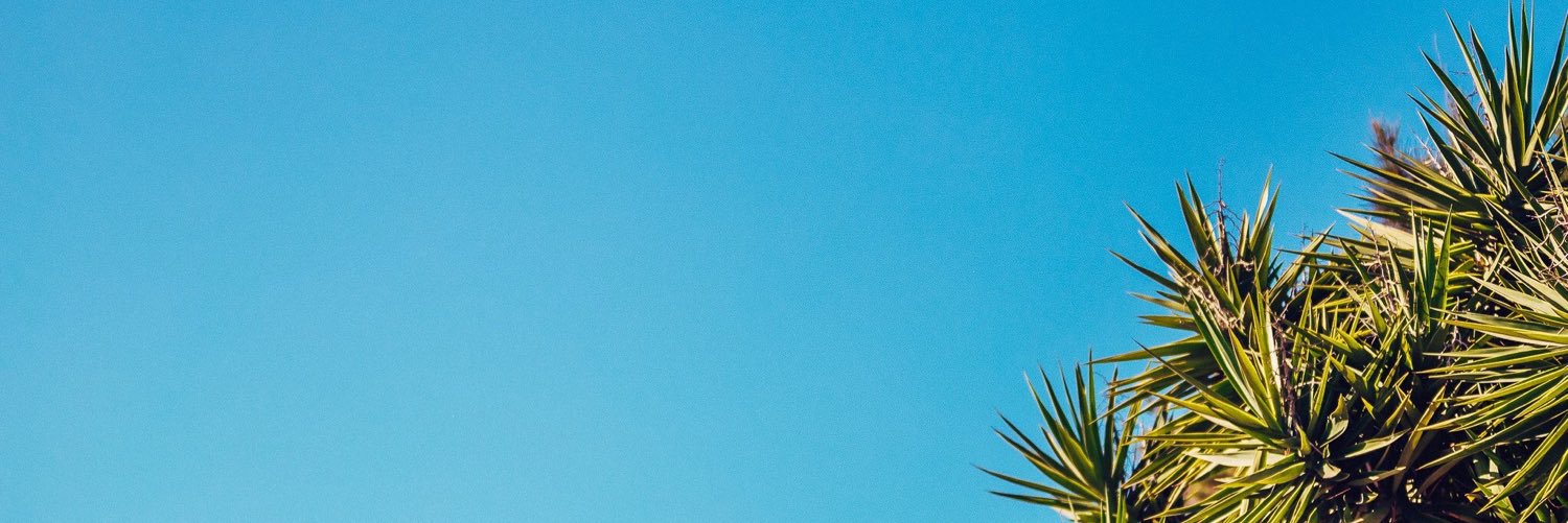 Hannah Pontefract banner