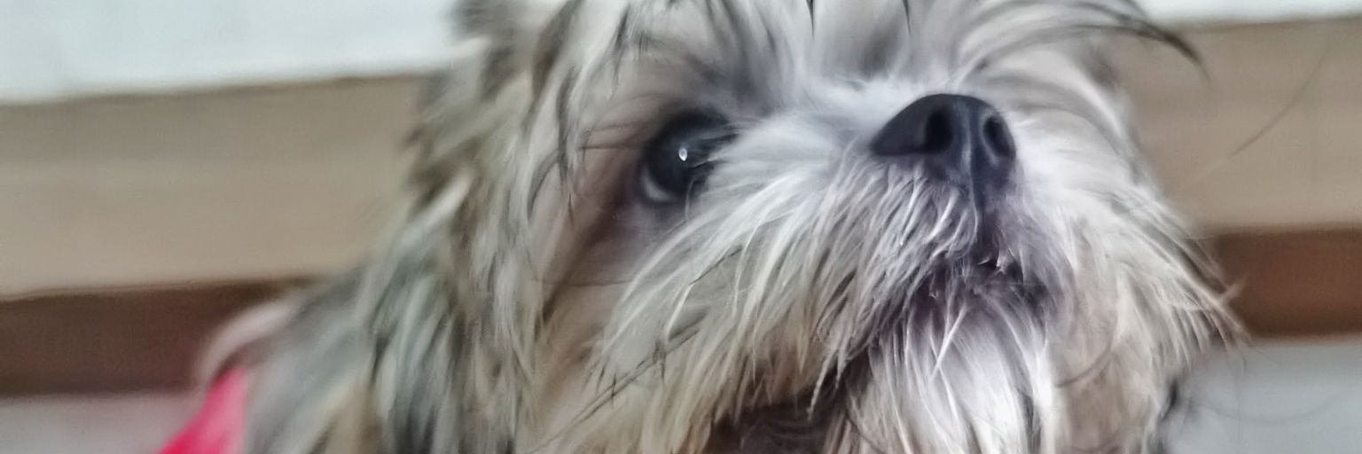 nerissabata's profile banner image