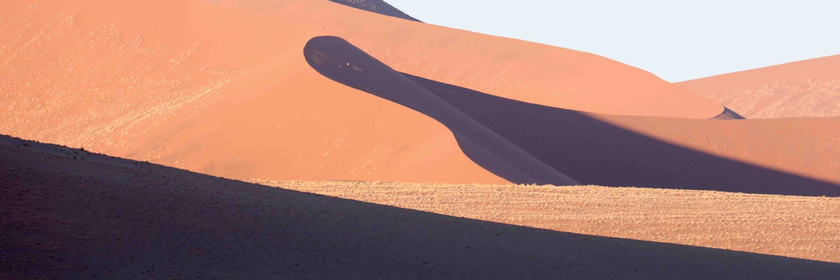 coenbester's profile banner image