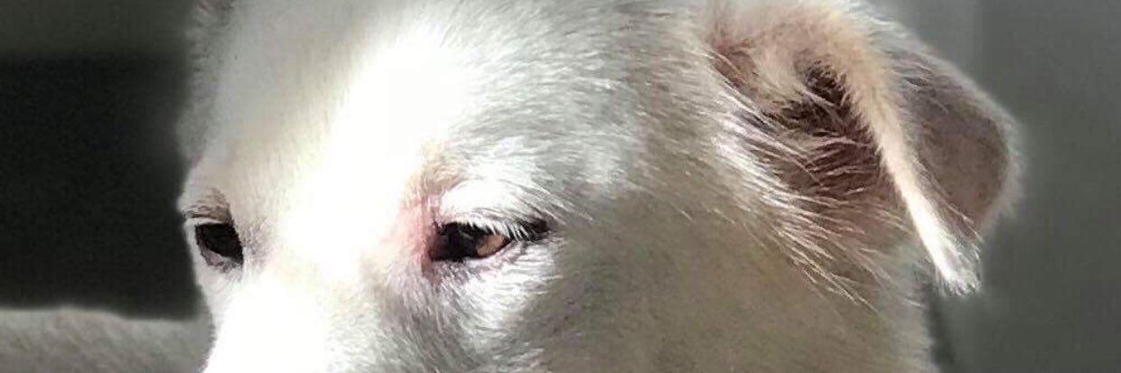 giacrxz's profile banner image