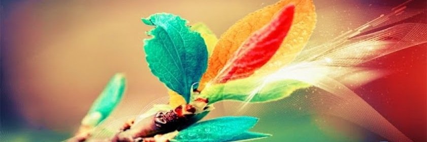 Dilaraa1998's profile banner image