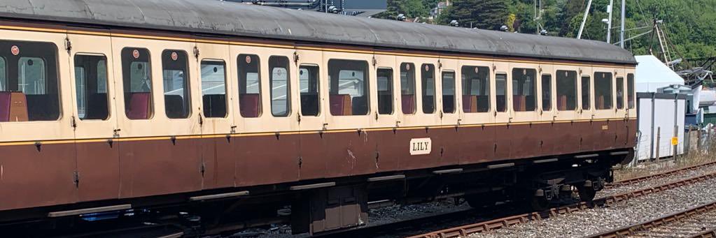 Lily - now on 🧵 and BlueSky. banner