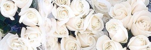 V banner