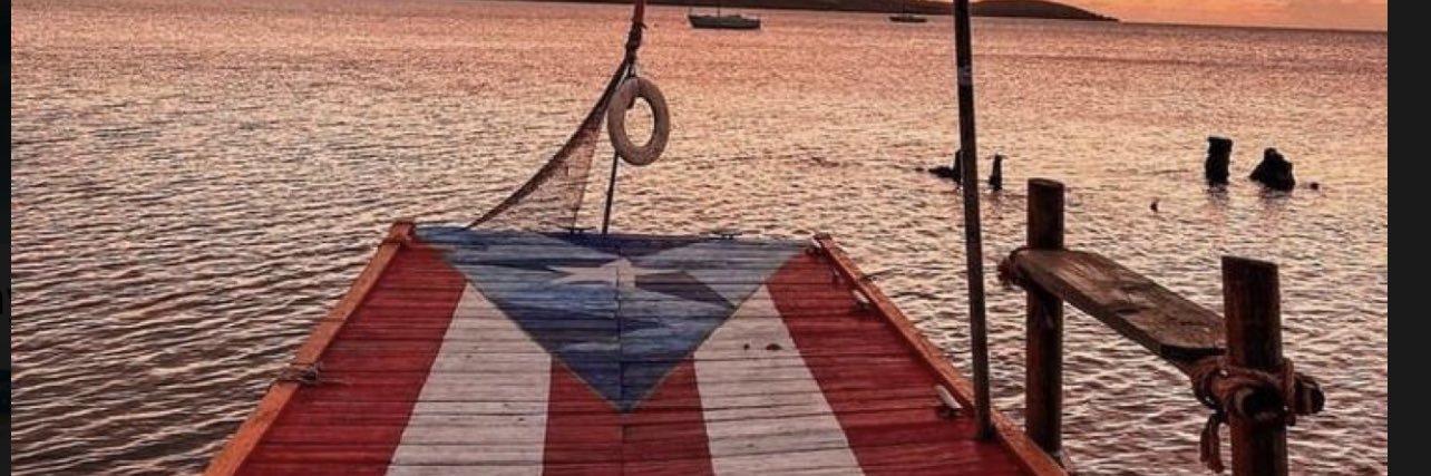 SylviaVerónicaCamacho banner