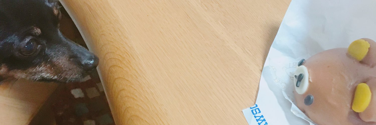 rinakkuma1228's profile banner image