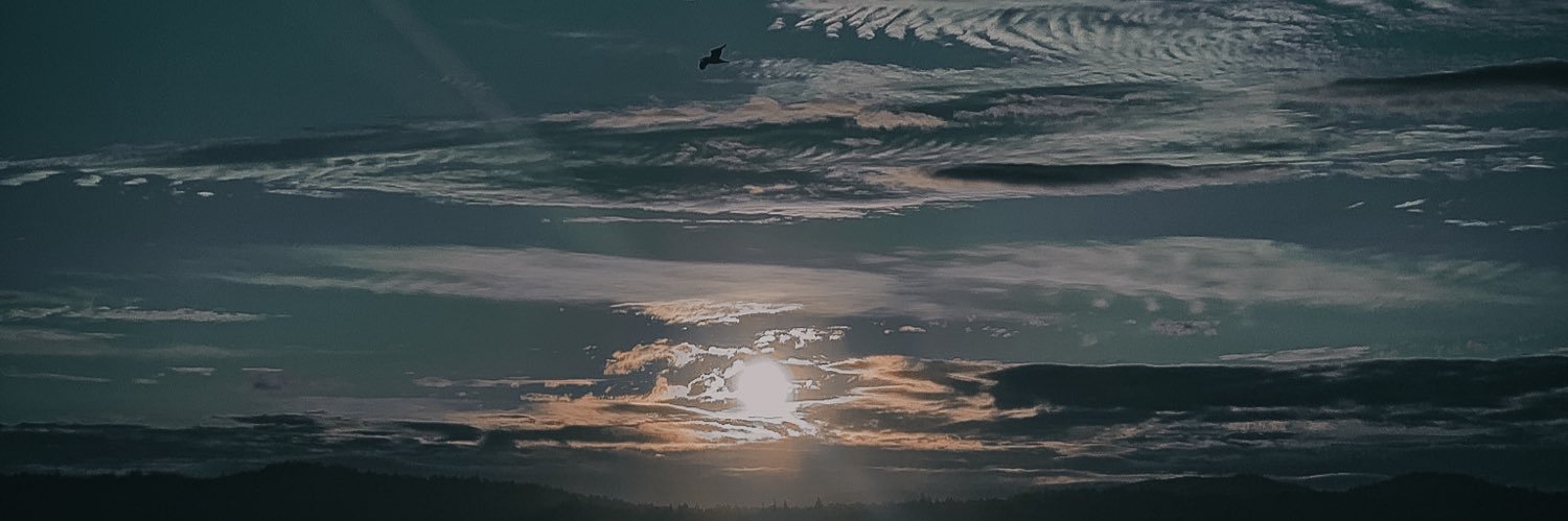 Romanolorvida's profile banner image