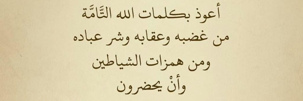 Жандос Сеит 🇵🇸 banner