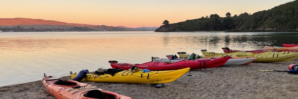 TomHinds Profile Banner