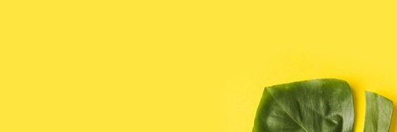 MaylinDionicio's profile banner image