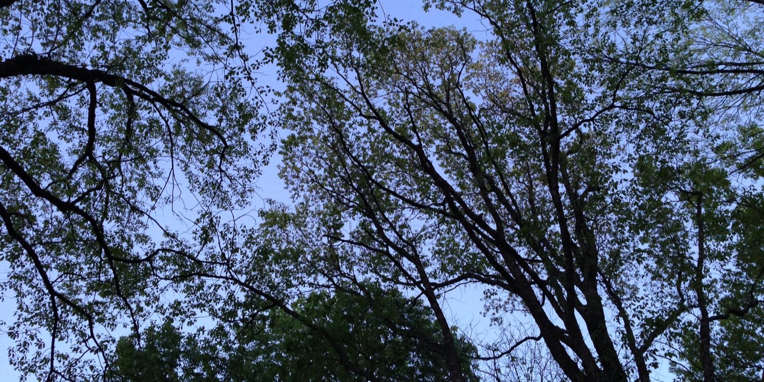 ashleyroberts81's profile banner image