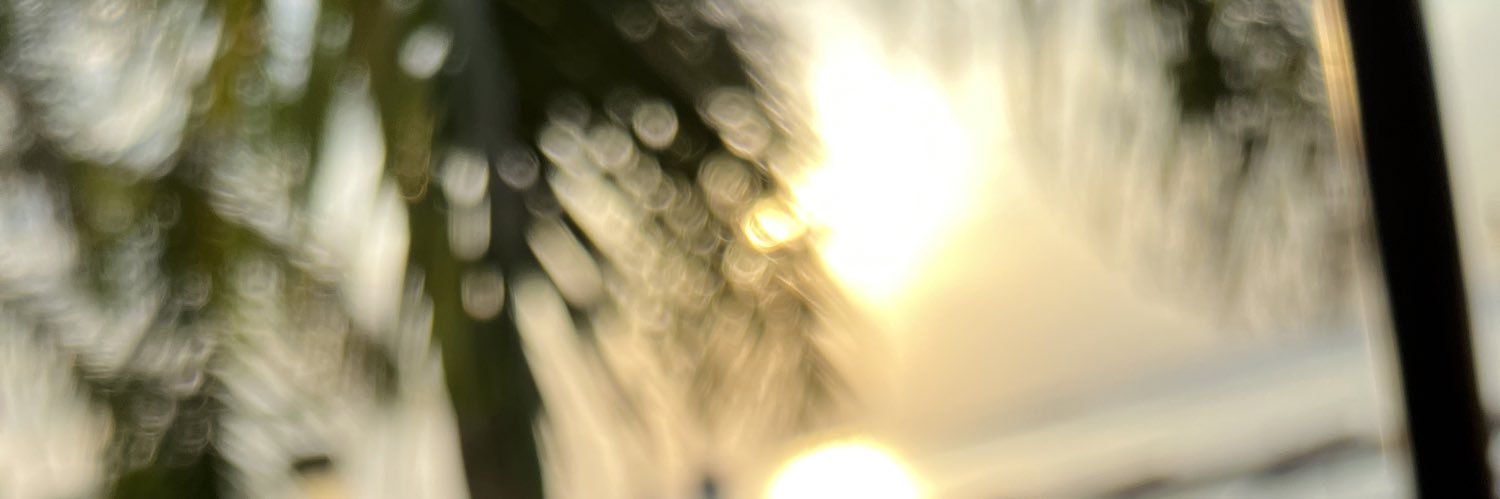 ThisIsLeeroy's profile banner image