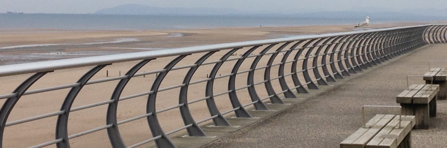 Bev Bottomley banner