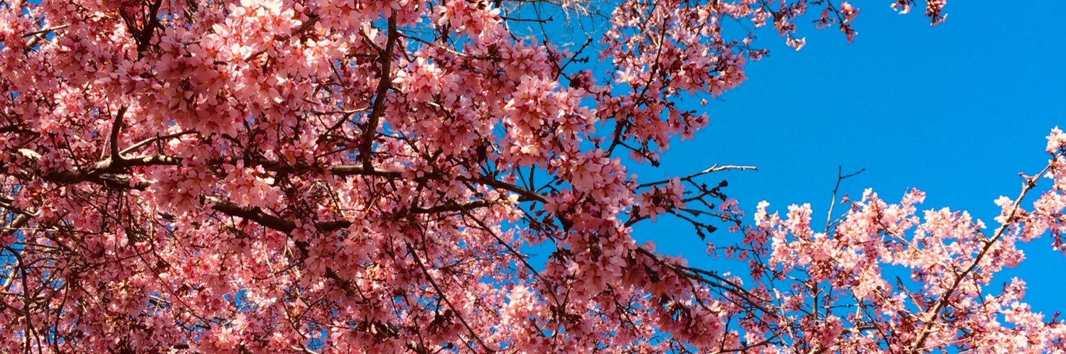 _g_irs's profile banner image