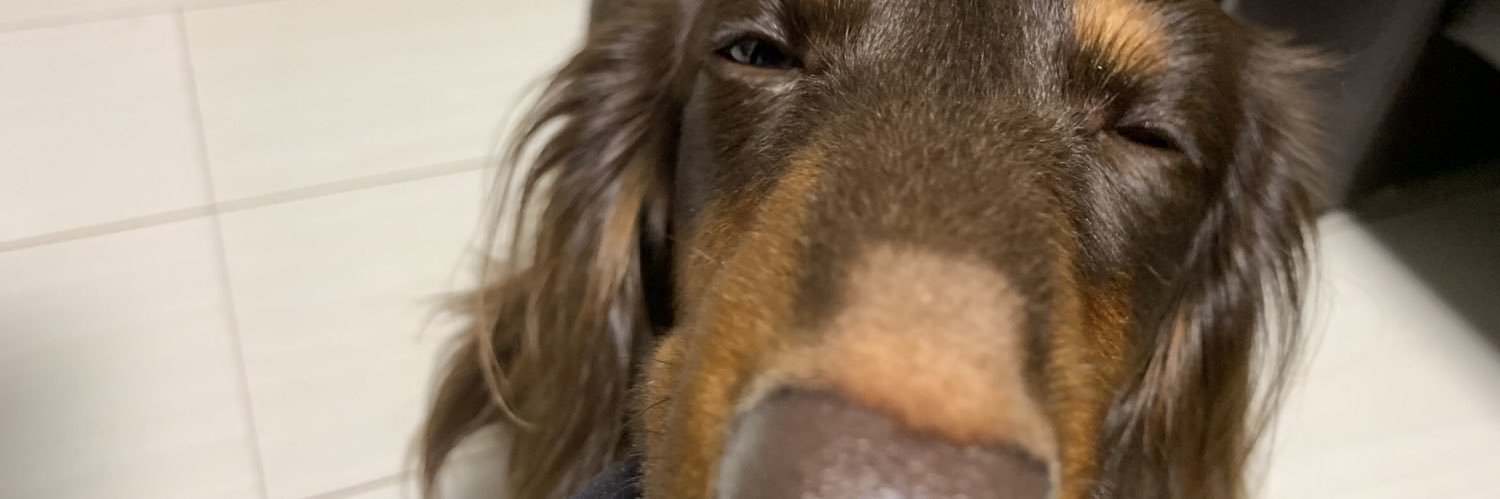 chaupooooon's profile banner image