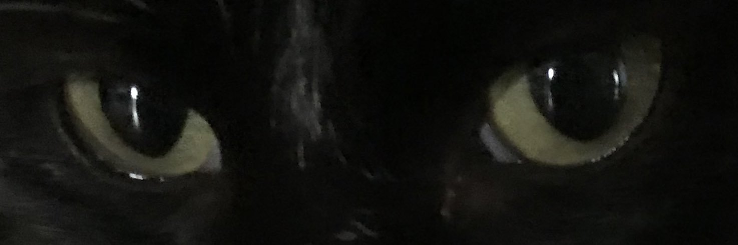 HeatHawk Tuah banner