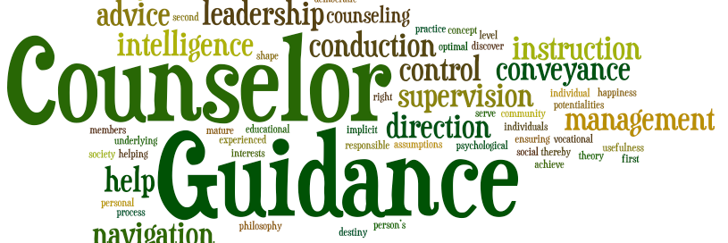 WSHS_guidance's profile banner image