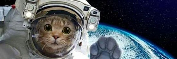 I like cats³³°¹ banner