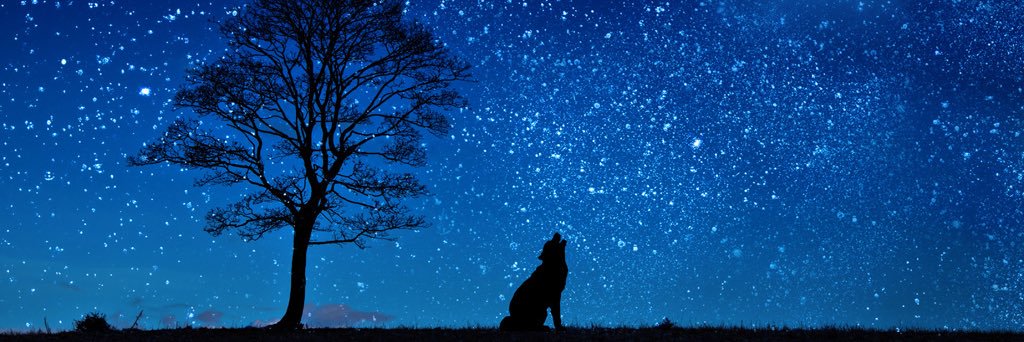 aaayachan's profile banner image
