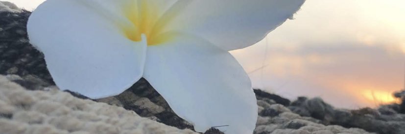 mSafat_287's profile banner image