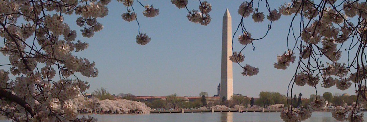 Heather Zimmerman's banner