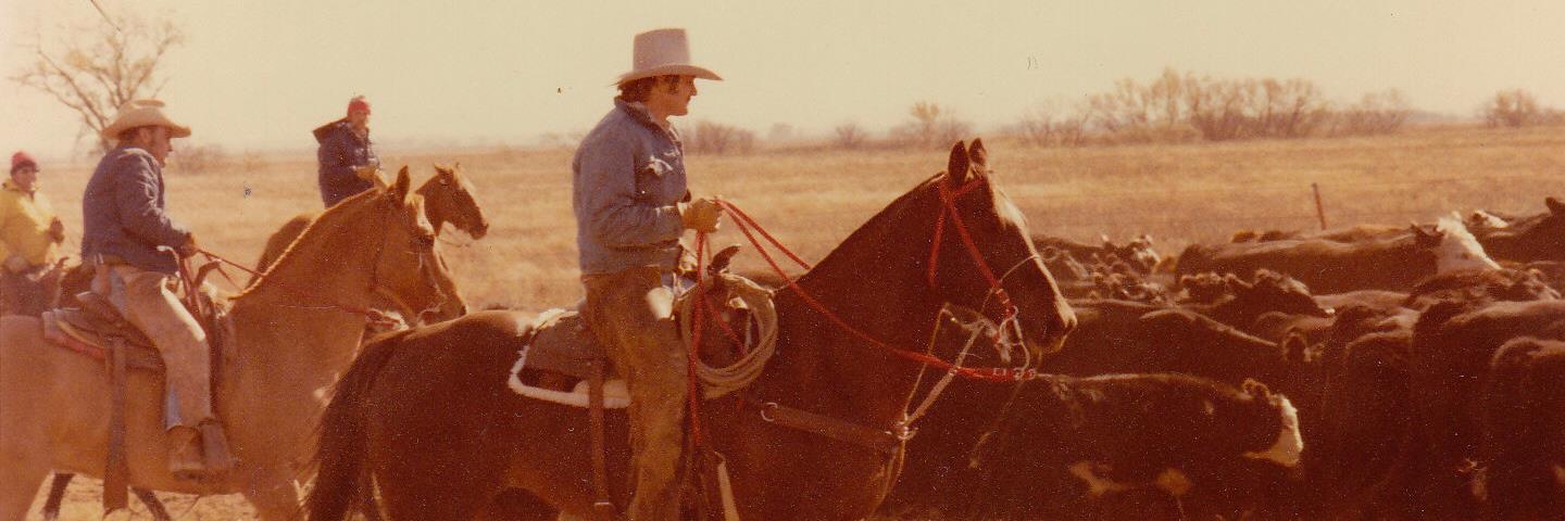 chainranchlady's profile banner image