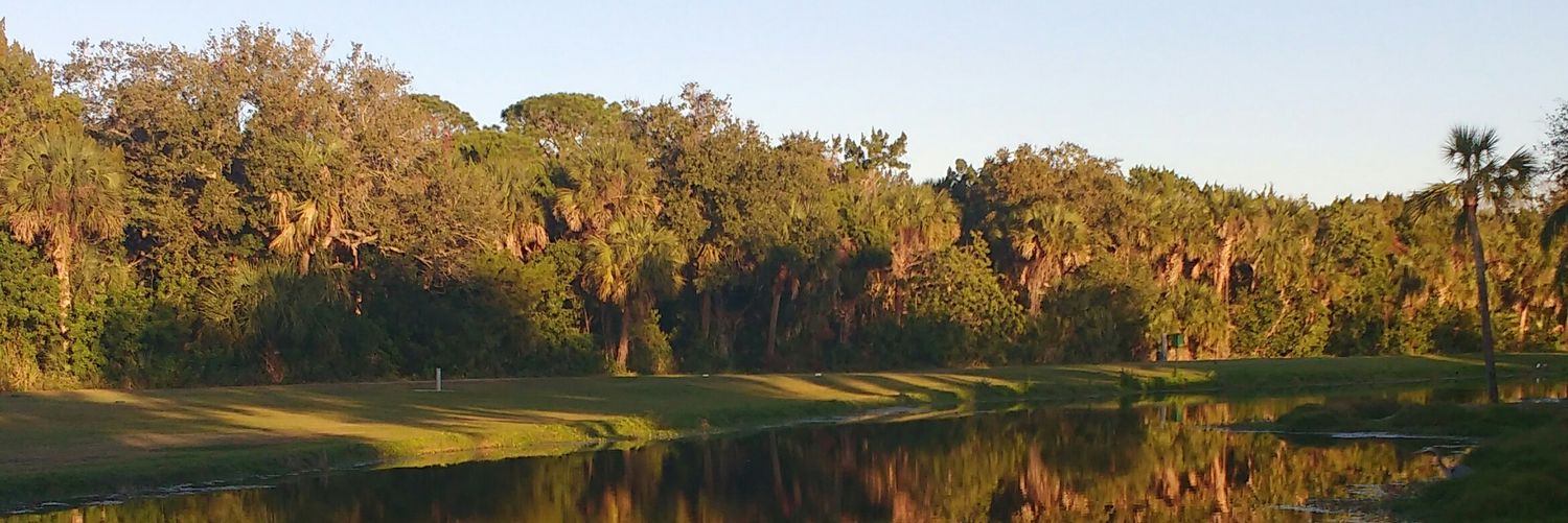 altust's profile banner image