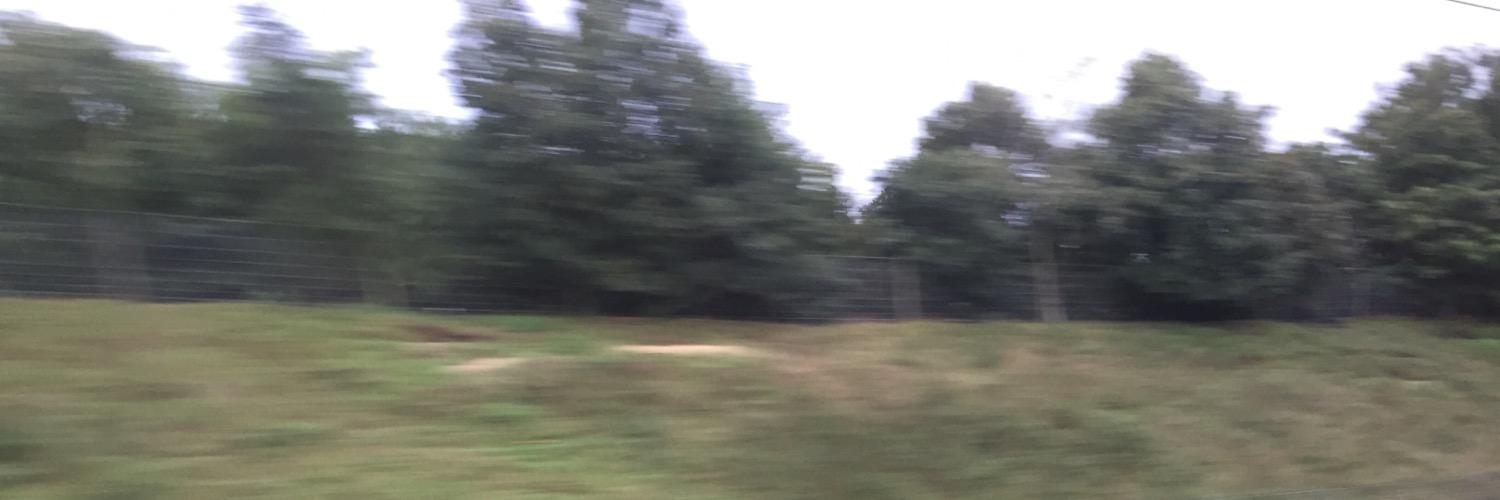 neilmacinnes's profile banner image
