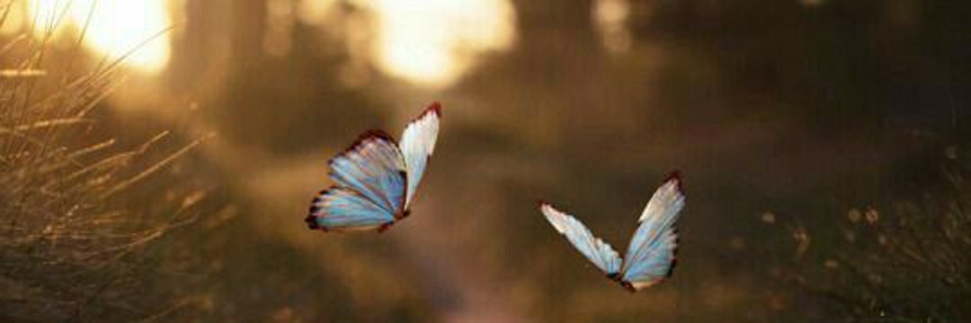 lencatair's profile banner image