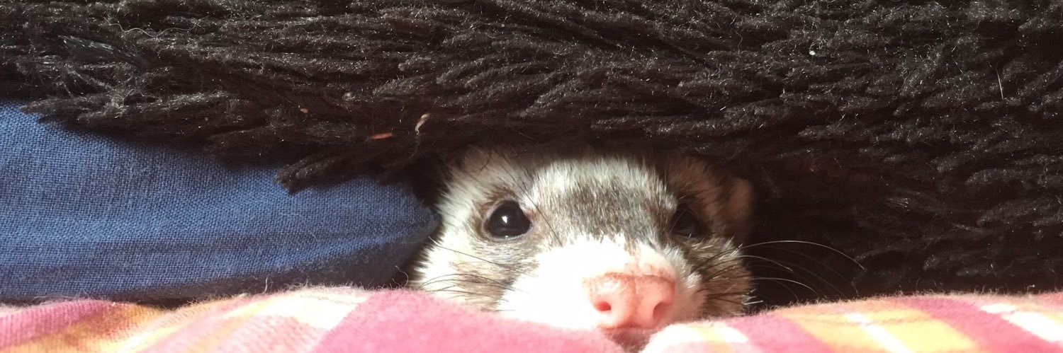 TaaaMeeeT's profile banner image