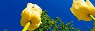 khurramDOP's profile banner image