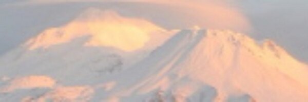LifeWays Profile Banner