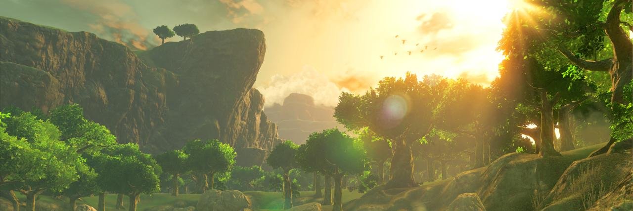 boycancelado's profile banner image
