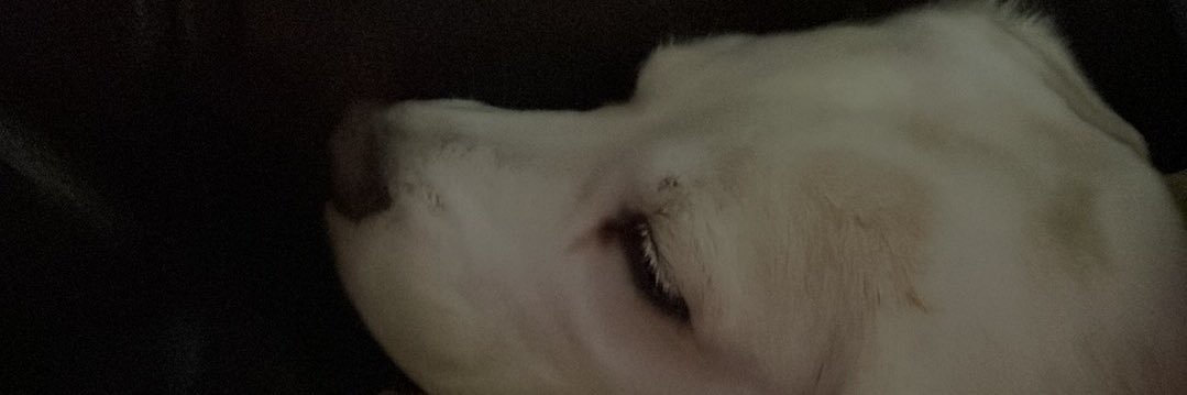 BoagMaureen's profile banner image