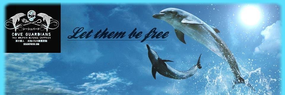 shereej's profile banner image