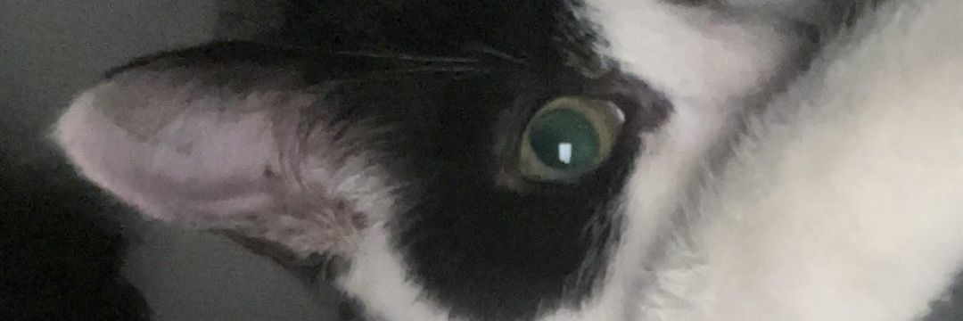 Felwin2's profile banner image