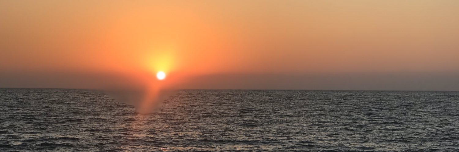 yldrayclkoglu's profile banner image