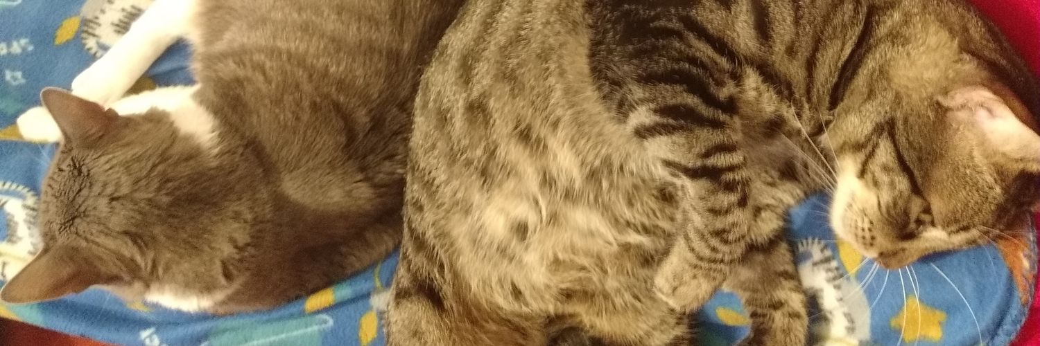 sider1853's profile banner image