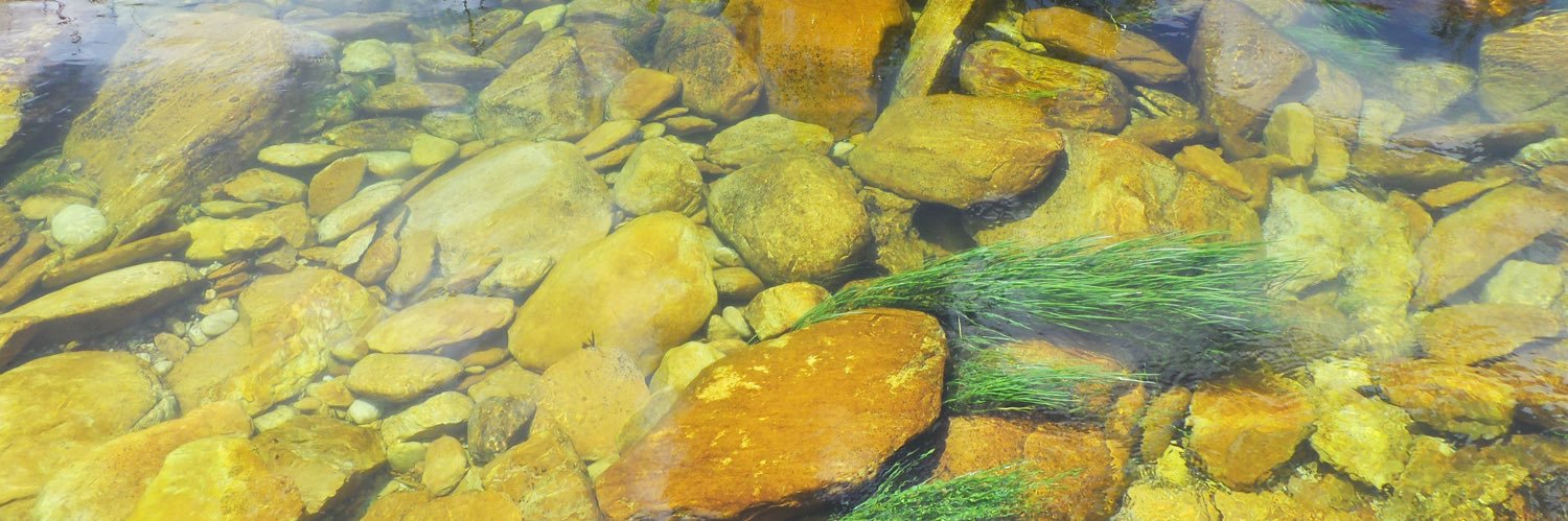brunoryck's profile banner image