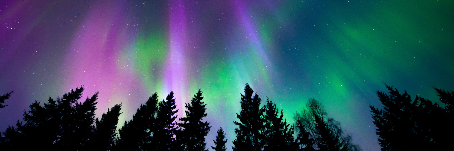 Mackin Educational Resources banner