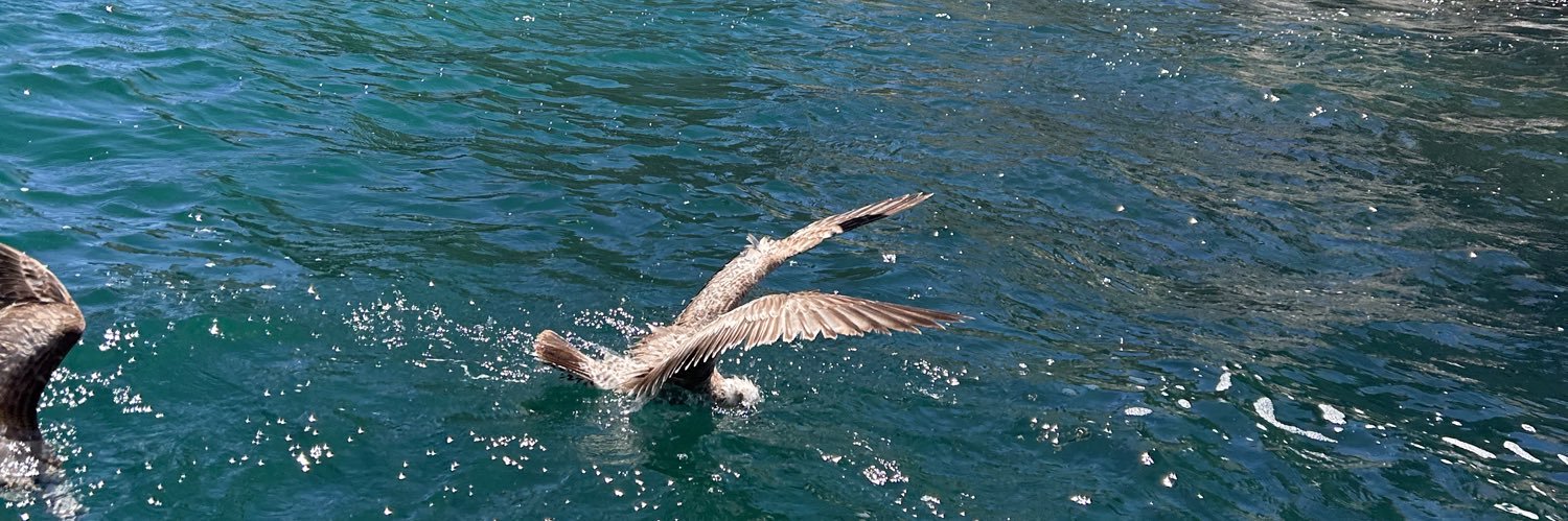 𝙲𝚘𝚗𝚜𝚝𝚊𝚗𝚣𝚊🫀 banner