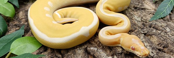 Gwc89 Profile Banner